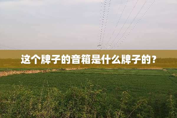 这个牌子的音箱是什么牌子的？