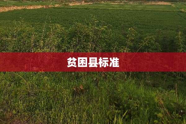 贫困县标准