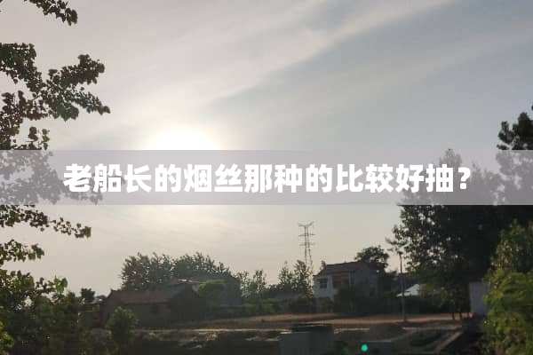 老船长的烟丝那种的比较好抽？
