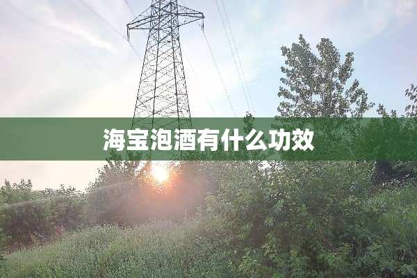 海宝泡酒有什么功效