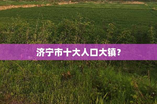 济宁市十大人口大镇？