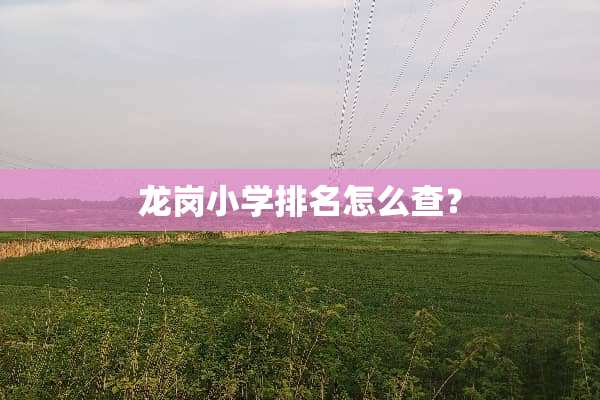 龙岗小学排名怎么查？