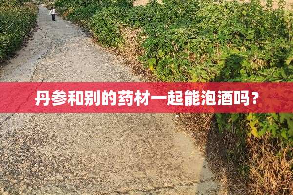 丹参和别的药材一起能泡酒吗？