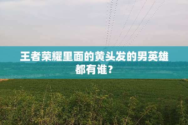 王者荣耀里面的黄头发的男英雄都有谁？
