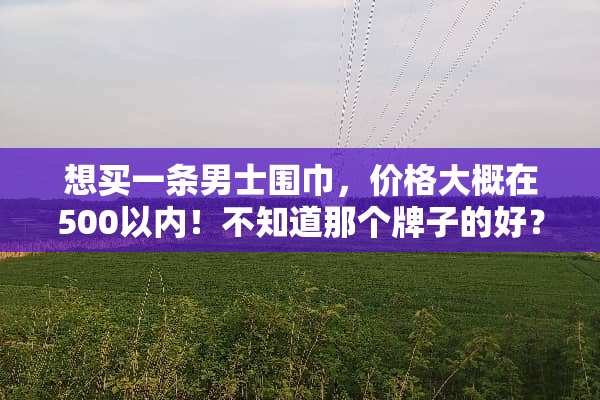想买一条男士围巾，价格大概在500以内！不知道那个牌子的好？