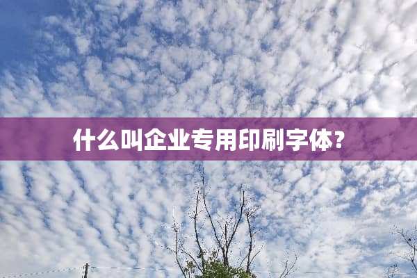 什么叫企业专用印刷字体？
