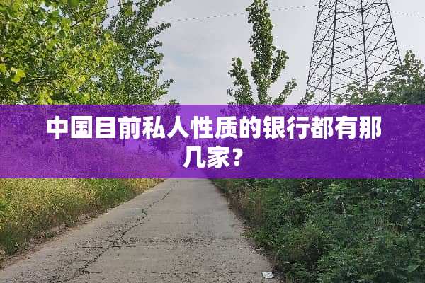 中国目前私人性质的银行都有那几家？