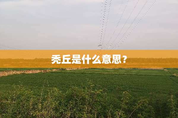 秃丘是什么意思？