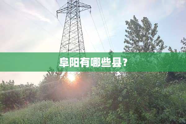 阜阳有哪些县？