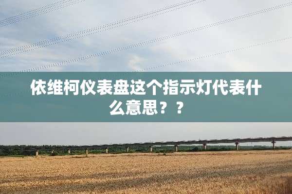 依维柯仪表盘这个指示灯代表什么意思？？