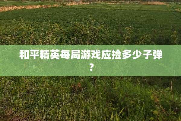和平精英每局游戏应捡多少**？