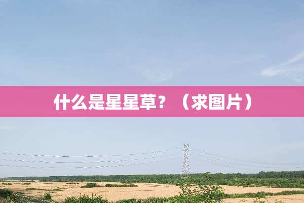 什么是星星草？（求图片）