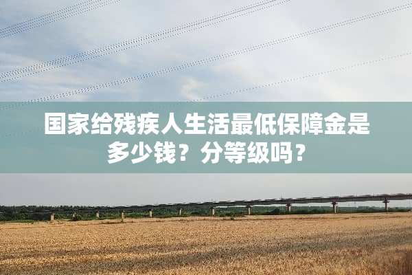 国家给残疾人生活最低保障金是多少钱？分等级吗？
