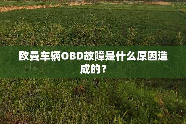 欧曼车辆OBD故障是什么原因造成的？