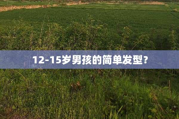 12-15岁男孩的简单发型？