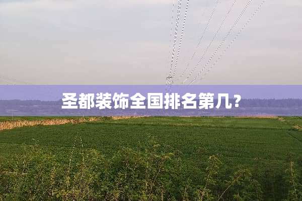 圣都装饰全国排名第几？