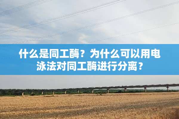 什么是同工酶？为什么可以用电泳法对同工酶进行分离？