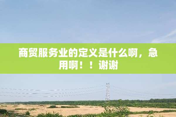 商贸服务业的定义是什么啊，急用啊！！谢谢