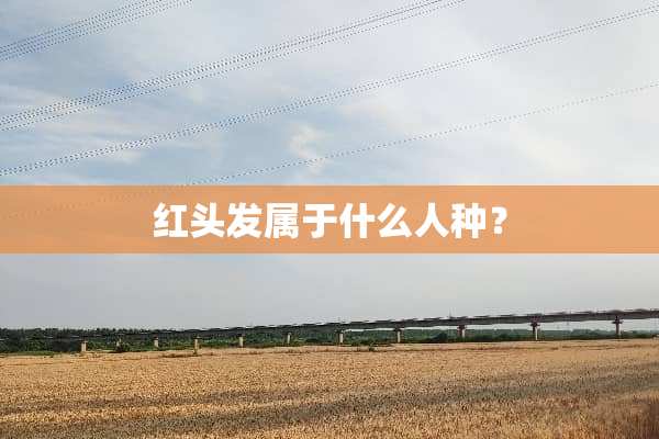 红头发属于什么人种？