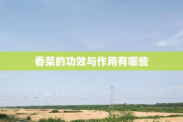 香菜的功效与作用有哪些
