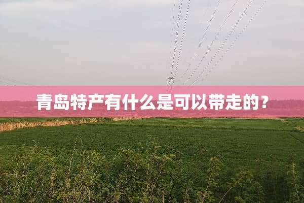 青岛特产有什么是可以带走的？