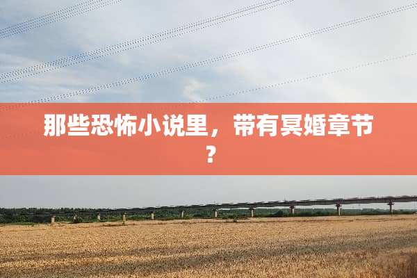 那些恐怖小说里，带有冥婚章节？