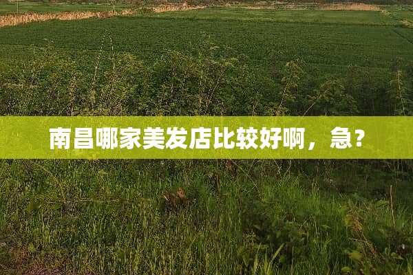 南昌哪家美发店比较好啊，急？