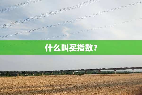 什么叫买指数？
