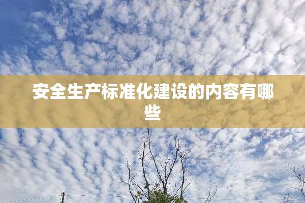 安全生产标准化建设的内容有哪些