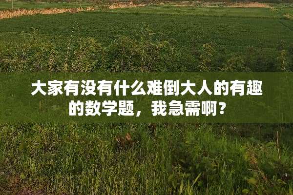 大家有没有什么难倒大人的有趣的数学题，我急需啊？