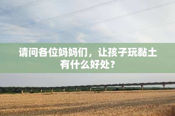 请问各位妈妈们，让孩子玩黏土有什么好处？