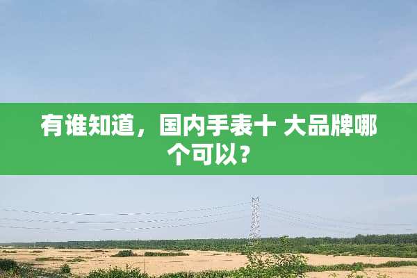 有谁知道，国内手表十 大品牌哪个可以？