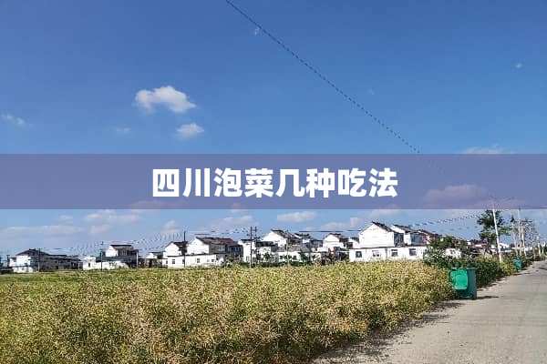 四川泡菜几种吃法