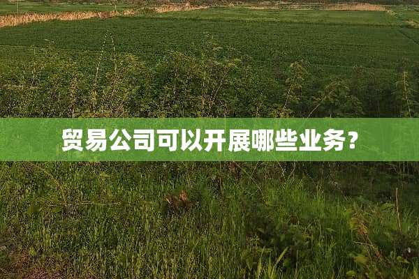 贸易公司可以开展哪些业务？