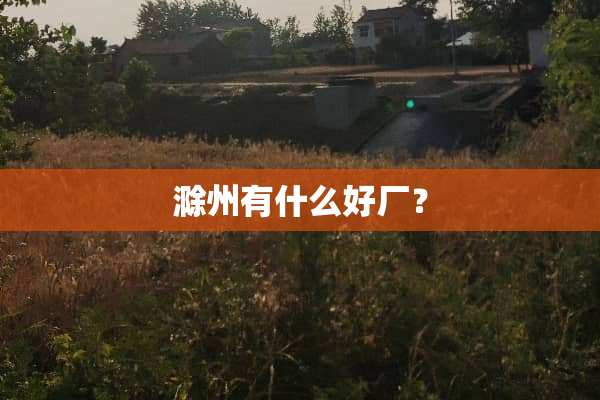 滁州有什么好厂？