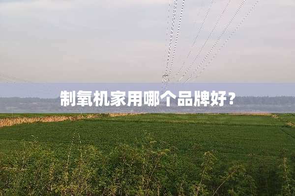 制氧机家用哪个品牌好？