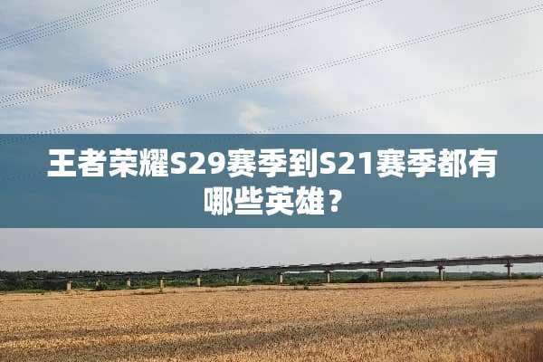 王者荣耀S29赛季到S21赛季都有哪些英雄？