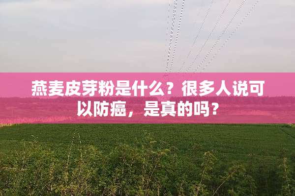 燕麦皮芽粉是什么？很多人说可以防癌，是真的吗？