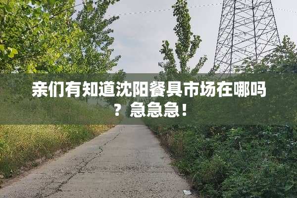 亲们有知道沈阳餐具市场在哪吗？急急急！