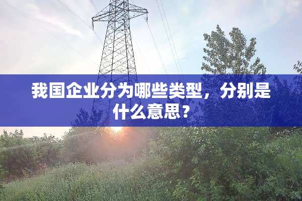 我国企业分为哪些类型，分别是什么意思？