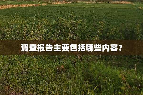 调查报告主要包括哪些内容？