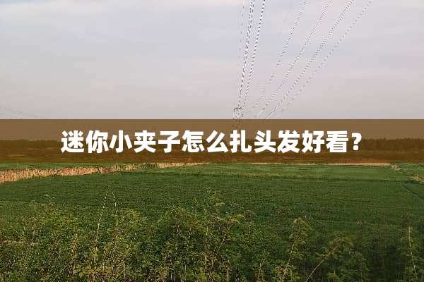 迷你小夹子怎么扎头发好看？