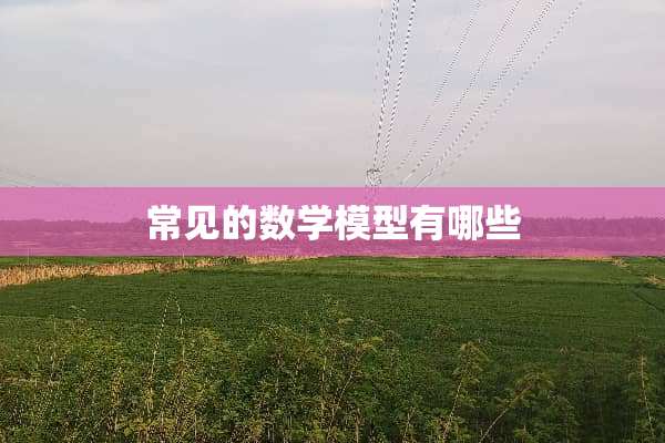 常见的数学模型有哪些