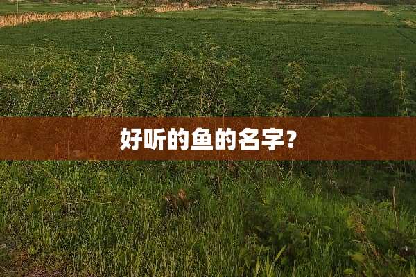 好听的鱼的名字？