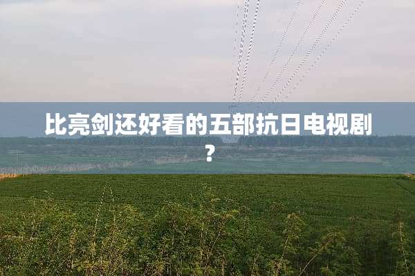 比亮剑还好看的五部**电视剧？