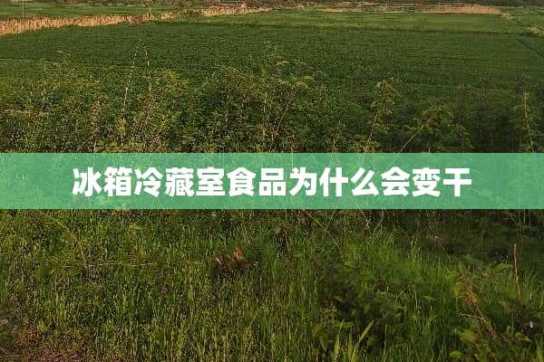冰箱冷藏室食品为什么会变干