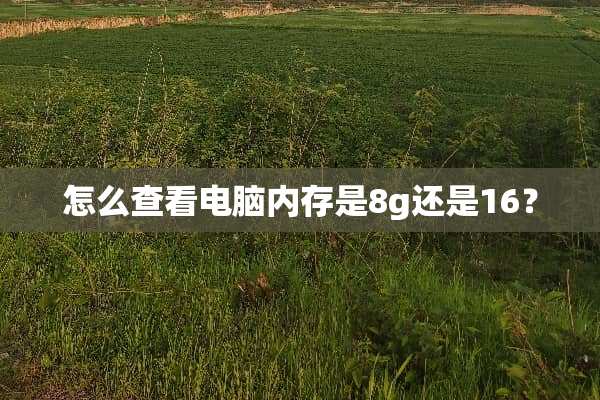 怎么查看电脑内存是8g还是16？