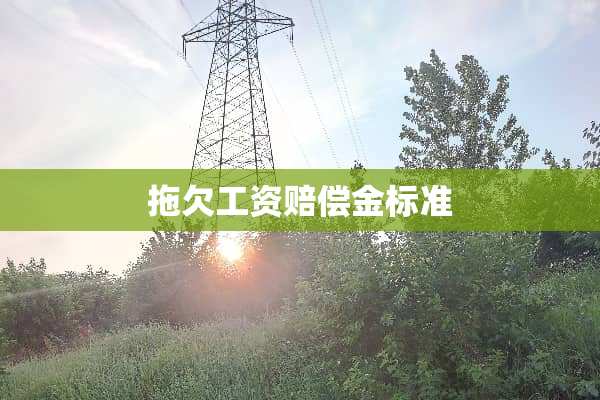 拖欠工资赔偿金标准