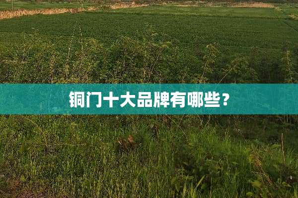 铜门十大品牌有哪些？