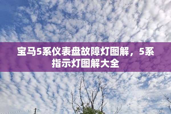 宝马5系仪表盘故障灯图解，5系指示灯图解大全